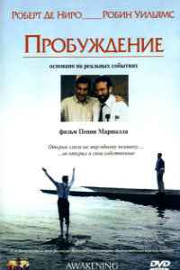 Пробуждение (1990)