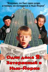 Один дома 2: Затерянный в Нью-Йорке (1992) смотреть онлайн