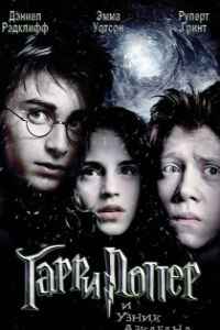 Гарри Поттер и узник Азкабана (2004)