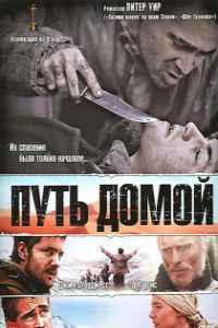 Путь домой (2010)