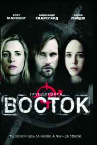 Группировка «Восток» (2013)