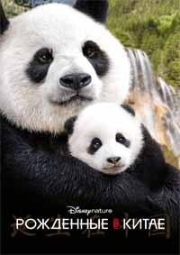 Рожденные в Китае (2016) смотреть онлайн